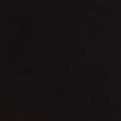 Coaster Alana Upholstered Tufted Side Chairs with Nailhead Trim (Set of 2) Model 115182