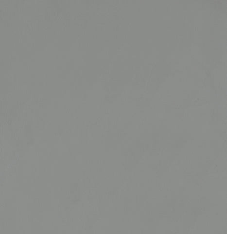 Coaster Thermosolis Acrylic Back Counter Height Stools Grey and Chrome (Set of 2) Model 183405