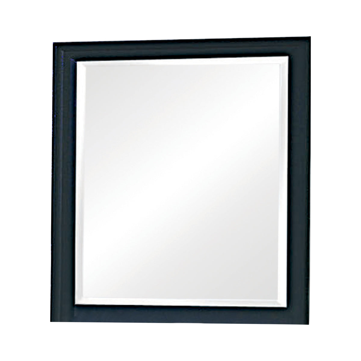 Coaster Sandy Beach Vertical Dresser Mirror Black Model 201324