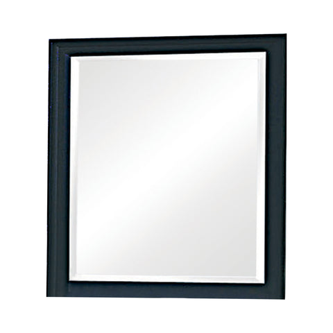 Coaster Sandy Beach Vertical Dresser Mirror Black Model 201324