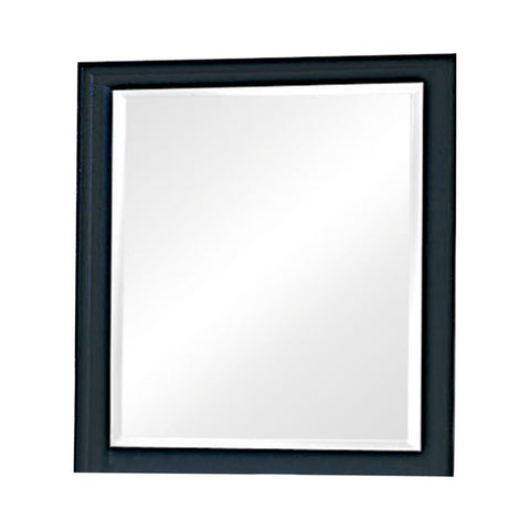 Coaster Sandy Beach Vertical Dresser Mirror Black Model 201324