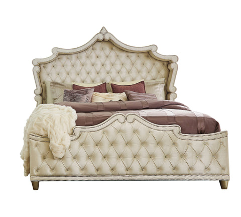 Coaster Antonella Upholstered Tufted Eastern King Bed Ivory and Camel Model 223521KE