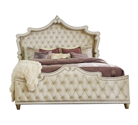 Coaster Antonella Upholstered Tufted Queen Bed Ivory and Camel Model 223521Q