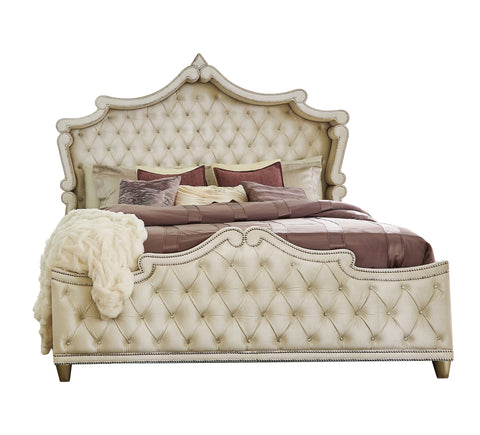 Coaster Antonella Upholstered Tufted Queen Bed Ivory and Camel Model 223521Q