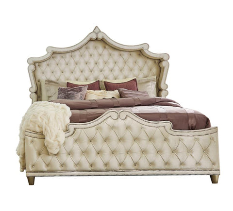 Coaster Antonella Upholstered Tufted Queen Bed Ivory and Camel Model 223521Q