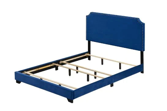 Haemon Blue Fabric Queen Bed Model 26760Q By ACME Furniture