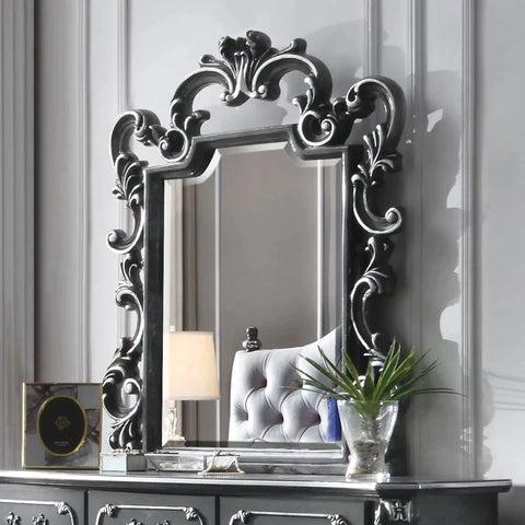 House Delphine Charcoal Finish Mirror Model 28834 By ACME Furniture