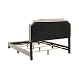 Coaster Tamarac Upholstered Nailhead Full Bed Beige Model 310061F