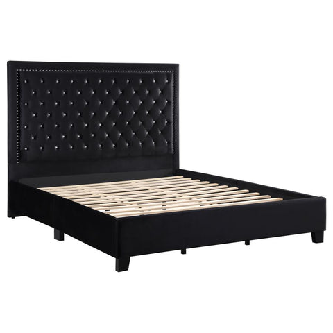 Coaster Hailey Upholstered Tufted Platform Eastern King Bed Black Model 315925KE