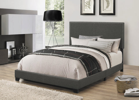 Coaster Boyd Queen Upholstered Bed with Nailhead Trim Charcoal Model 350061Q