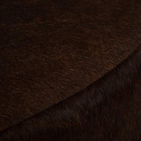 Classic Home Rand 36" Coffee Table Brown With Gold Base Model 51011658