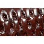 Eustoma Cherry Top Grain Leather Match & Walnut Sofa Model 53065 By ACME Furniture