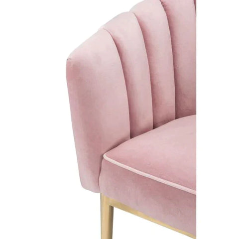 Colla Blush Pink Velvet & Gold Accent Chair Model 59814 By ACME Furniture