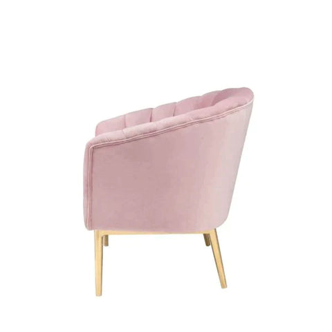 Colla Blush Pink Velvet & Gold Accent Chair Model 59814 By ACME Furniture