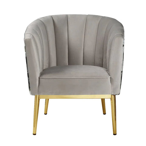 Colla Gray Velvet & Gold Accent Chair Model 59816 By ACME Furniture