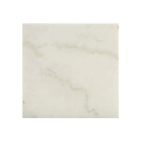 Telestis White Marble & Black End Table Model 84502 By ACME Furniture