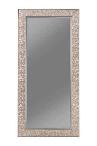 Coaster Rollins Rectangular Floor Mirror Silver Sparkle Model 901997