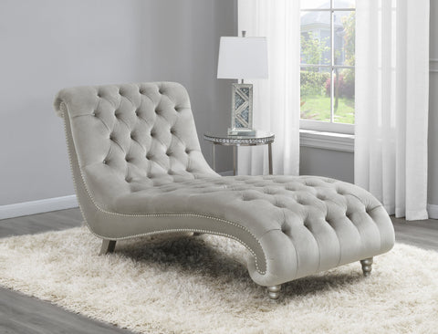 Coaster Lydia Tufted Cushion Chaise with Nailhead Trim Grey Model 905468