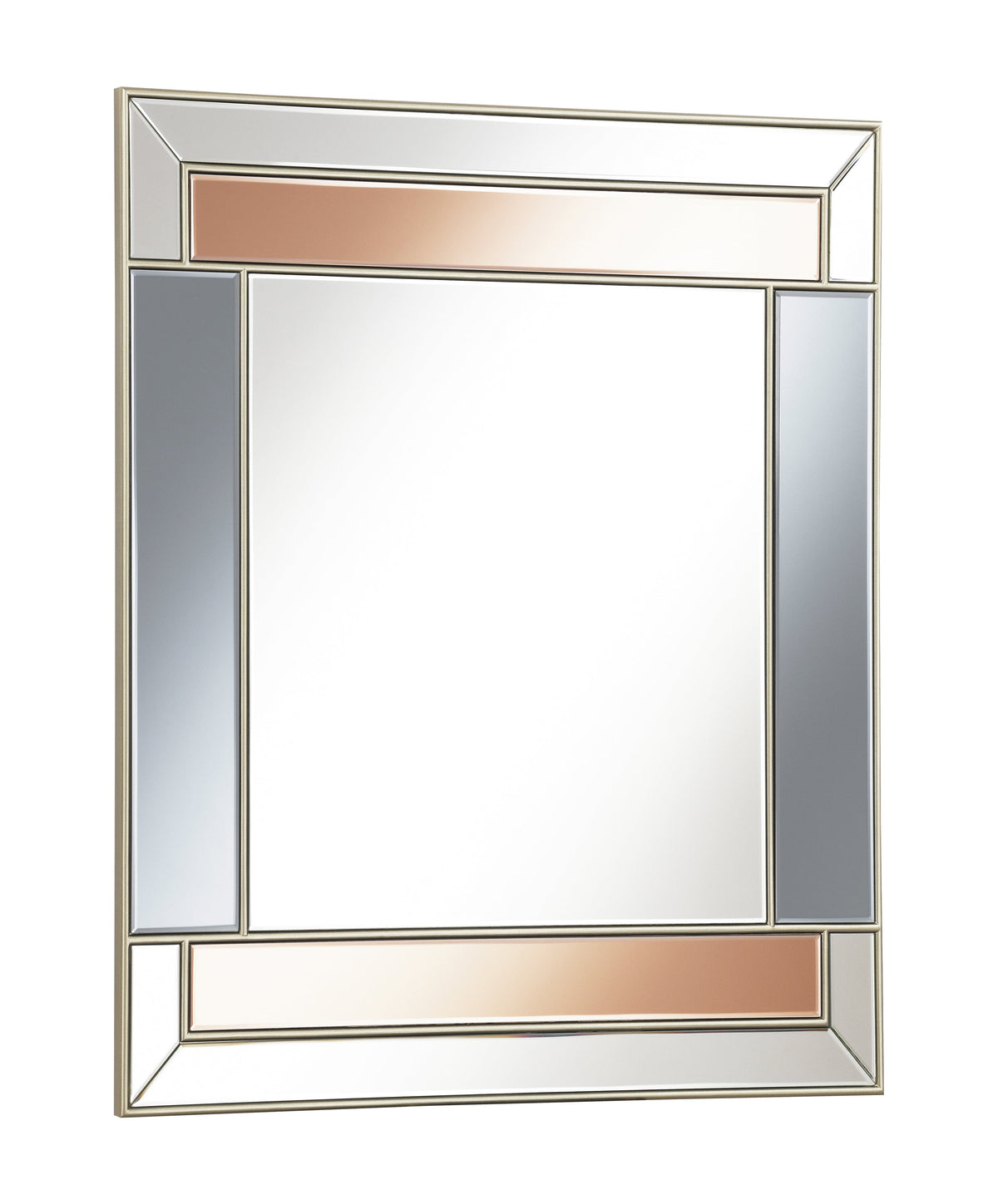 Coaster Braylin Rectangular Wall Mirror Champagne and Grey Model 962907