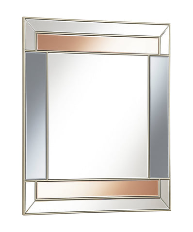 Coaster Braylin Rectangular Wall Mirror Champagne and Grey Model 962907