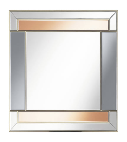 Coaster Braylin Rectangular Wall Mirror Champagne and Grey Model 962907