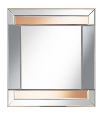 Coaster Braylin Rectangular Wall Mirror Champagne and Grey Model 962907
