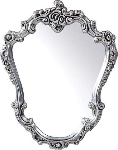 Pu023 Transitional Grey Wall Mirror Model VGLEPU023