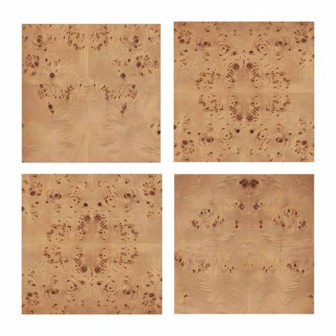 Brandyss Honey Burl Nightstand Model: TOV-B54387