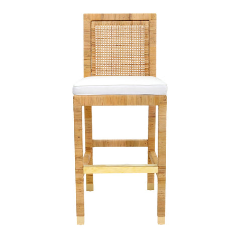 Amara Rattan Performance Fabric Bar Stool Model: TOV-D44151