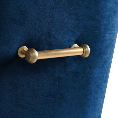 Beatrix Navy Velvet Side Chair Model: TOV-D48