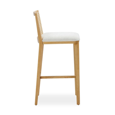 Gerri Performance Tweed and Rattan Counter Stool Model: TOV-D54381
