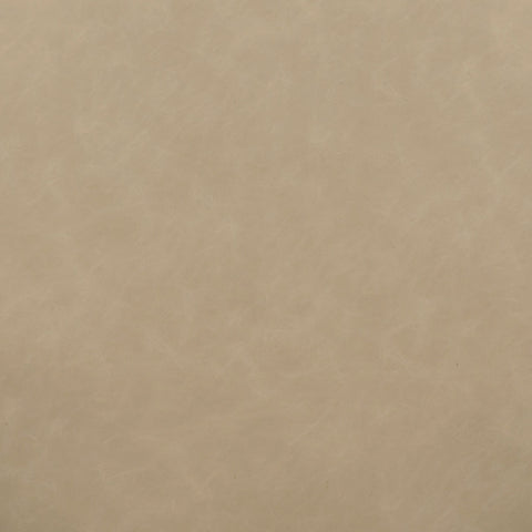 Odessa Cream Vegan Leather Dining Chair Model: TOV-D54436