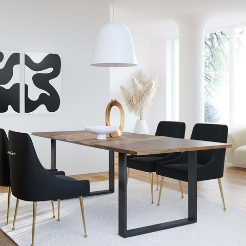 Beatrix Black Velvet Side Chair Model: TOV-D6179