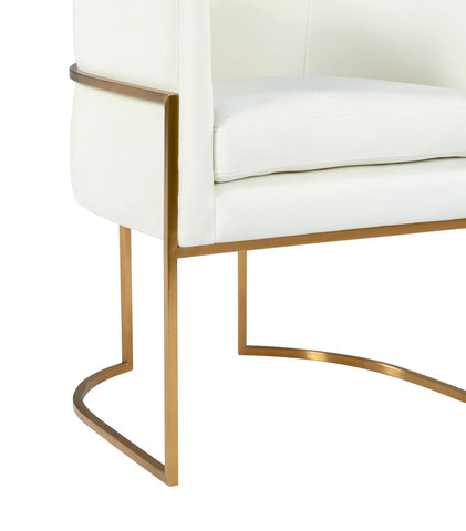 Giselle Cream Velvet Dining Chair - Gold Frame By Inspire Me! Home Decor Model: TOV-D6303