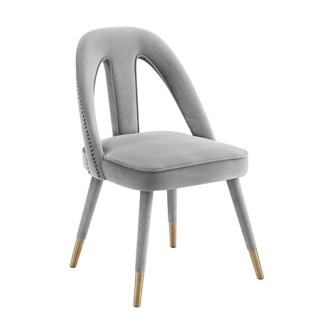 Petra Light Grey Velvet Side Chair Model: TOV-D6363