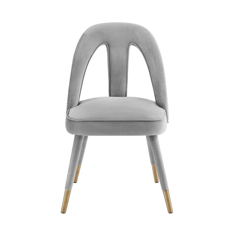 Petra Light Grey Velvet Side Chair Model: TOV-D6363