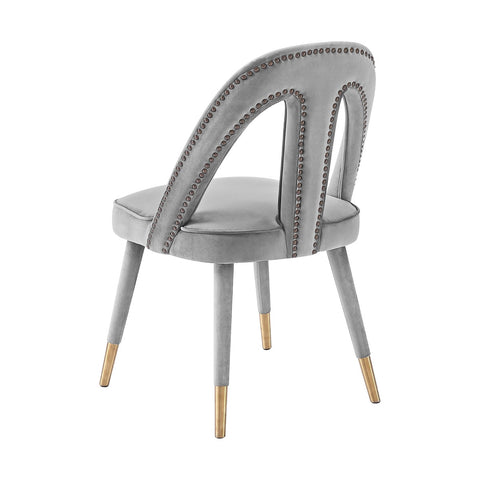 Petra Light Grey Velvet Side Chair Model: TOV-D6363
