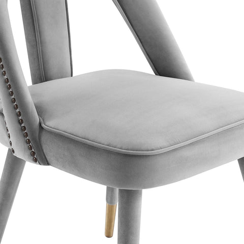 Petra Light Grey Velvet Side Chair Model: TOV-D6363