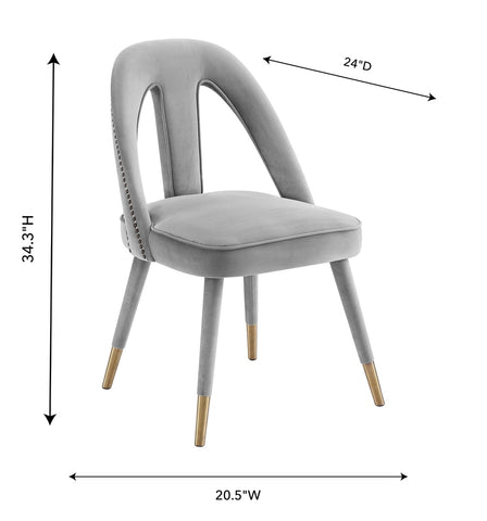 Petra Light Grey Velvet Side Chair Model: TOV-D6363