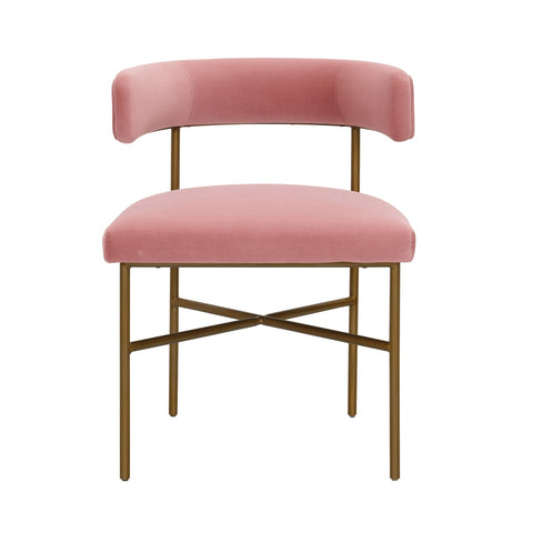 Kim Velvet Chair in Blush Model: TOV-D6432