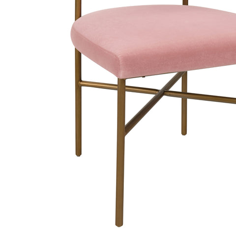 Kim Velvet Chair in Blush Model: TOV-D6432