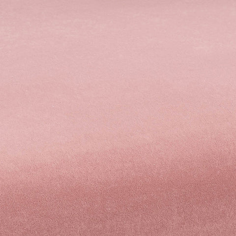 Kim Velvet Chair in Blush Model: TOV-D6432