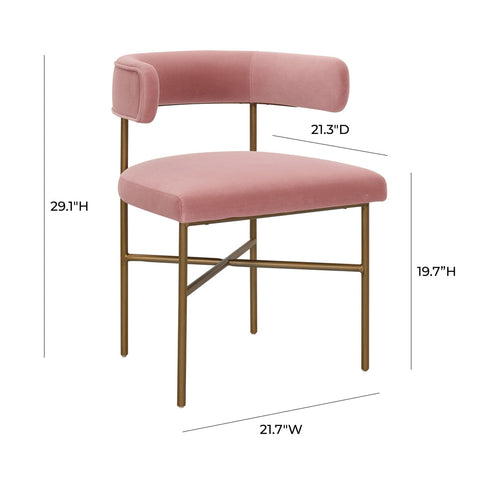 Kim Velvet Chair in Blush Model: TOV-D6432