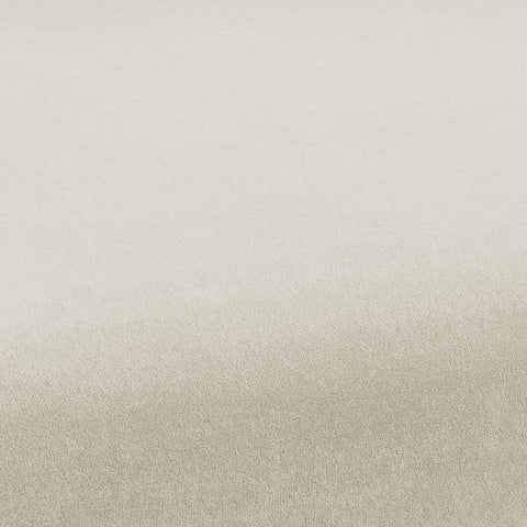 Kim Velvet Chair in Cream Model: TOV-D6433