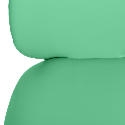 Lauren Green Performance Vegan Leather Kitchen Chairs - Set of 2 Model: TOV-D68697