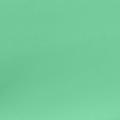 Lauren Green Performance Vegan Leather Kitchen Chairs - Set of 2 Model: TOV-D68697