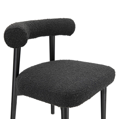 Spara Black Performance Boucle Side Chair Model: TOV-D68758