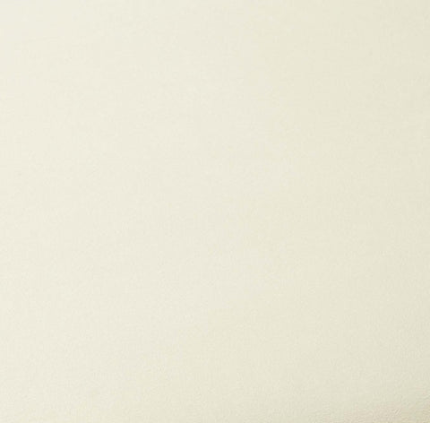 Hailey Cream Velvet Counter Stool Model: TOV-D68844