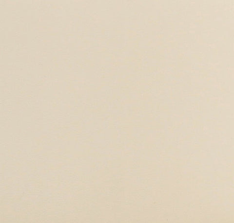 Leo Cream Performance Vegan Leather Dining Chair Model: TOV-D68992