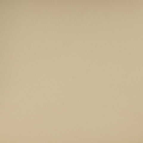 Betsy Taupe Vegan Leather Dining Chair Model: TOV-D69046